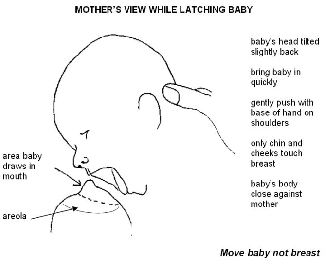 latching step2 mothers view