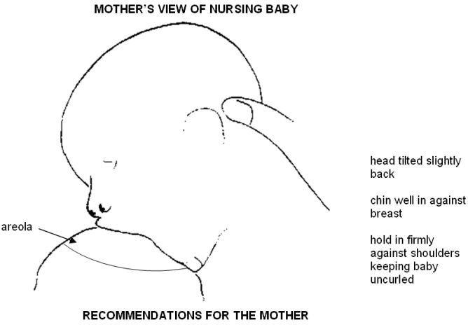 latching step3 mothers view-nursing