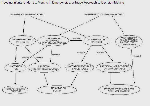 Breastfeeding Emergency Triage Decision Making